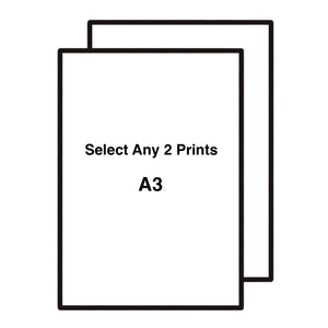 Art Print Bundle 2 x A3
