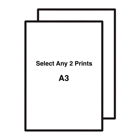 Art Print Bundle 2 x A3